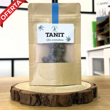 Tanit - ¡Oferta! - 1