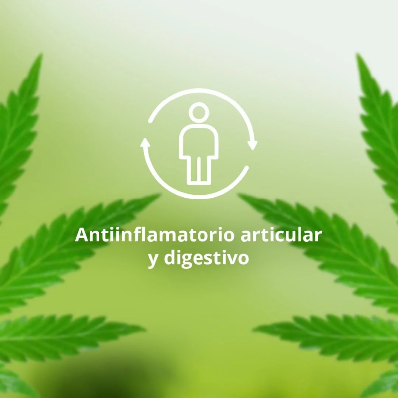 Neo - Cannabidoil Cúrcuma - Family Tree CBD