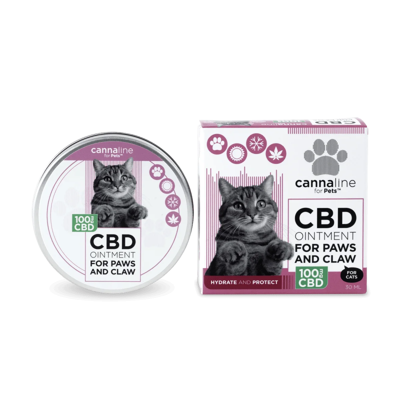 Comprar Bálsamo Unguento Hidratante CBD Patas Gatos Agrietadas - Family Tree CBD