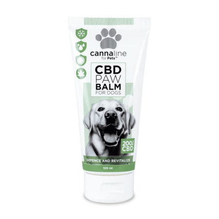 Comprar Bálsamo Unguento Hidratante CBD Patas Perros Agrietadas - Family Tree CBD