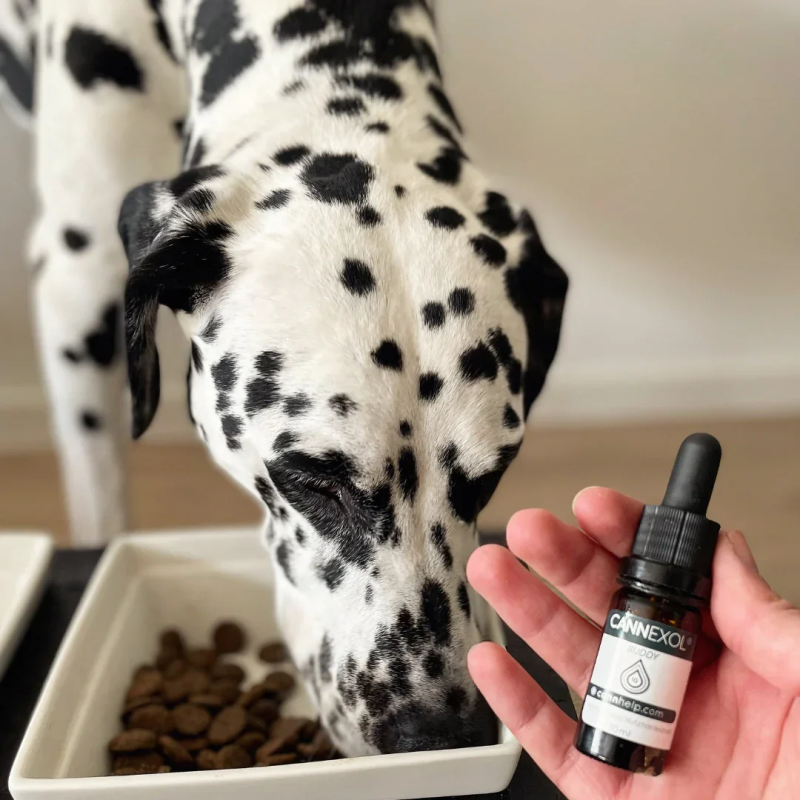 Comprar Cannhelp CANNEXOL Perros Dog 5% CBD Aceite - Family Tree CBD