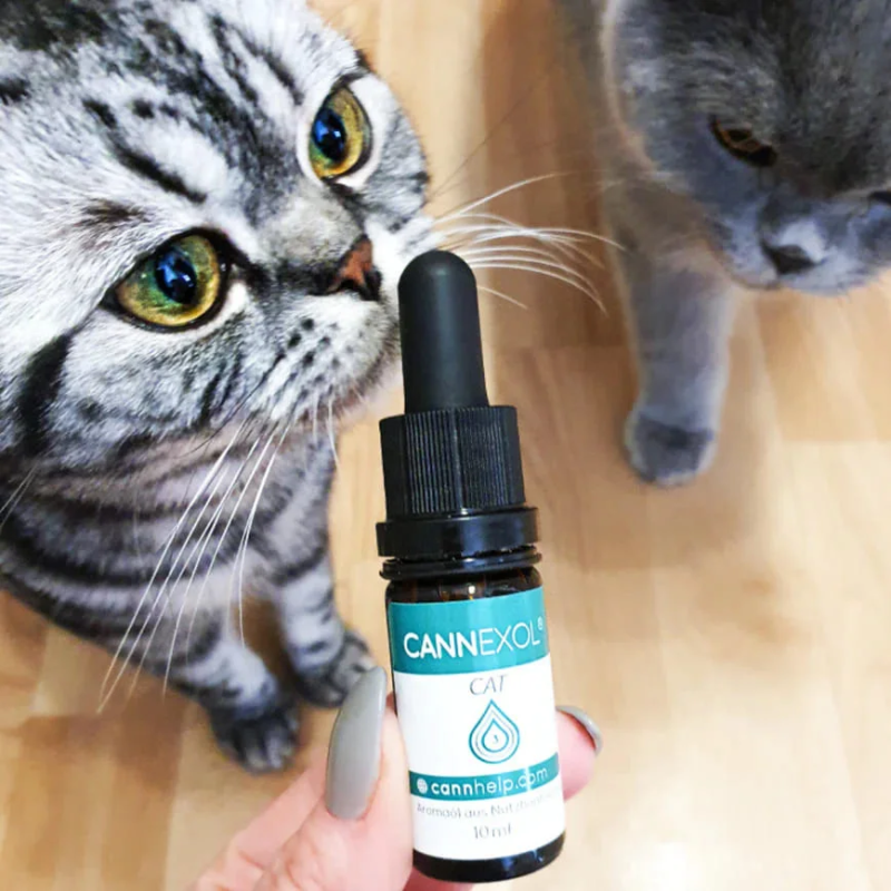 Cannhelp - CANNEXOL Cat 3% CBD Aceite - Family Tree CBD