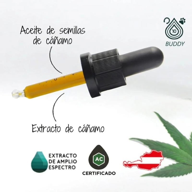 cannhelp CANNEXOL Buddy 10% CBD Aceite - Family Tree CBD