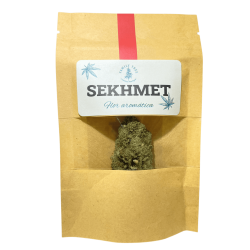 Sekhmet - 1
