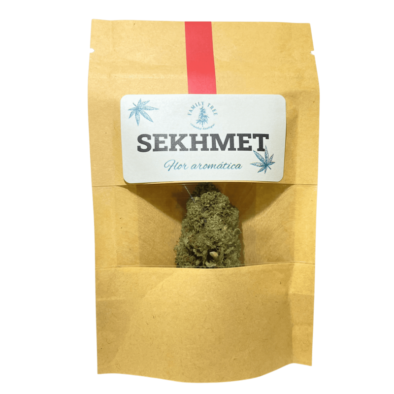 Sekhmet - 1