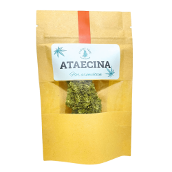 Ataecina - 1