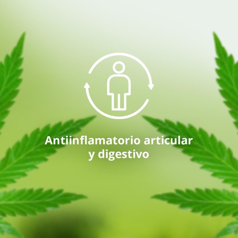 Cannabidoil + Cúrcuma (30 cáps.) - 5