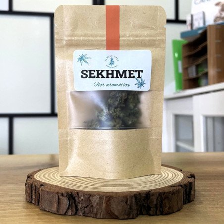 Sekhmet - 1